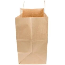 Dubl Life Virgin Paper Twist Handle Bag, Brown, 1/CS/200 (13207941)