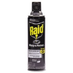 Raid® Wasp & Hornet Killer, 14-oz., Aerosol Spray, Each (SJN668006EA)