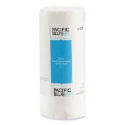Pacific Blue™ Kitchen Paper Towels, 2-Ply, 100 Sheet Roll (GPC27300RL)