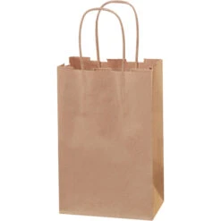 Paper Bags, 5 1/2" X 3 1/4" X 8 3/8", Kraft, 250/Case (BGS101K)